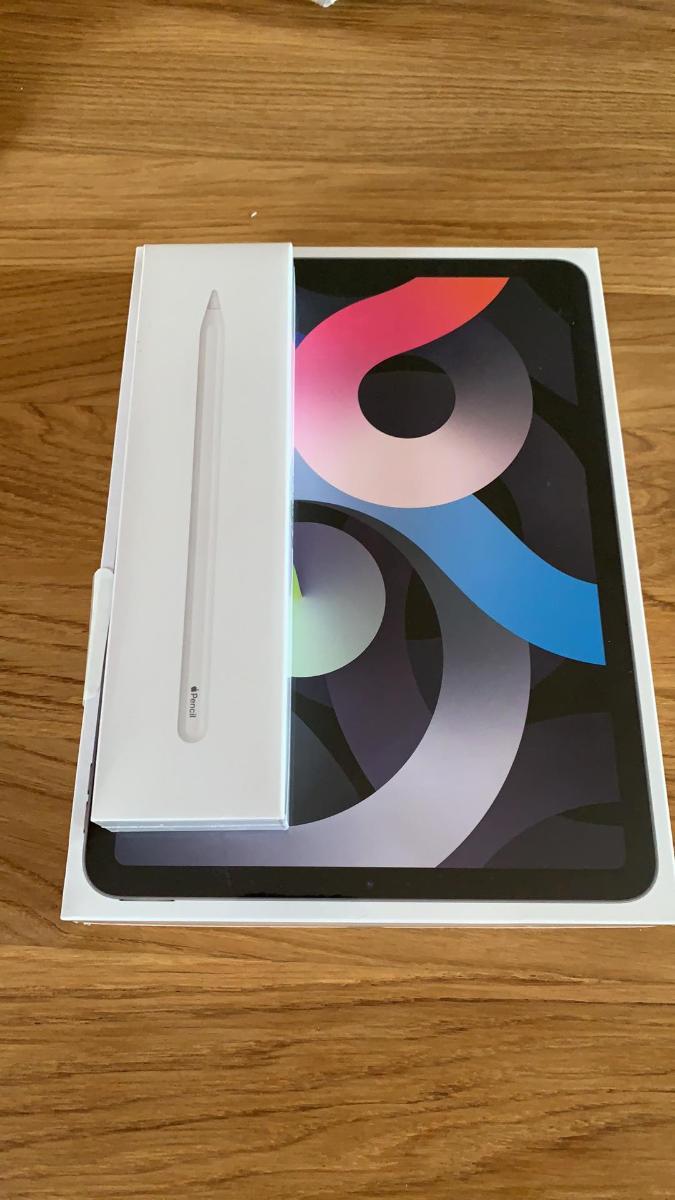 希有な-iPad - iPadmini 第5世代 256GB + Apple Pencil - lyceemaputo.org