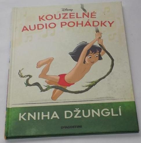 Audio kniha